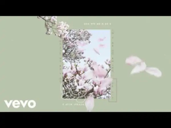 Shawn Mendes - Where Were You In The Morning? (KAYTRANADA Remix)